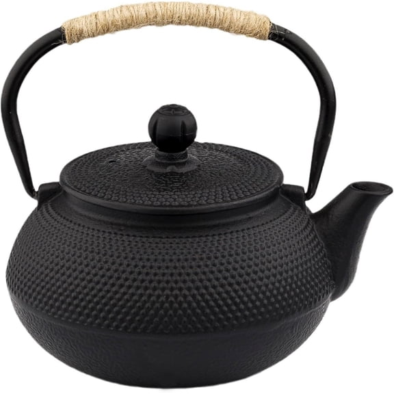 20.3oz Small Japanese Cast Iron Tetsubin Teapot, Stovetop Safe Black Tea Pot with Enamel Lining & Stainless Steel Infuser