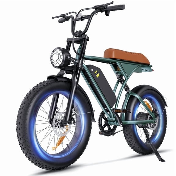 20*4.0" Fat Tire Electric Bike,1000W Motor,20MPH,Front and Rear Shock Absorbers,LCD Display,Hydraulic Disc Brakes,Green