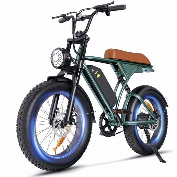20*4.0" Fat Tire Electric Bike,750W Motor,20MPH,Front and Rear Shock Absorbers,LCD Display,Hydraulic Disc Brakes,Green