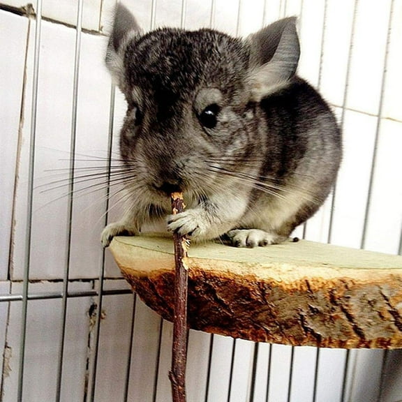 20/40/60Pcs Natural Apple Sticks Small Animals Molar Wood Treats Toys Chinchilla Guinea Pig Hamster Rabbit Gerbil Parrot Bunny and Small Animals Chew Stick Toys Treats