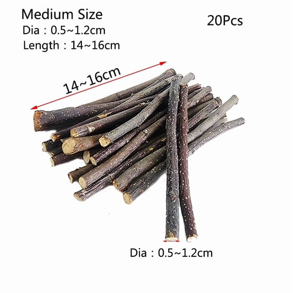 20/40/80/100pcs Hamster Rabbit Teeth Grinding Apple Tree Stick Minerals Molar Stone Toys for Chinchilla Hamster Pet accessories
