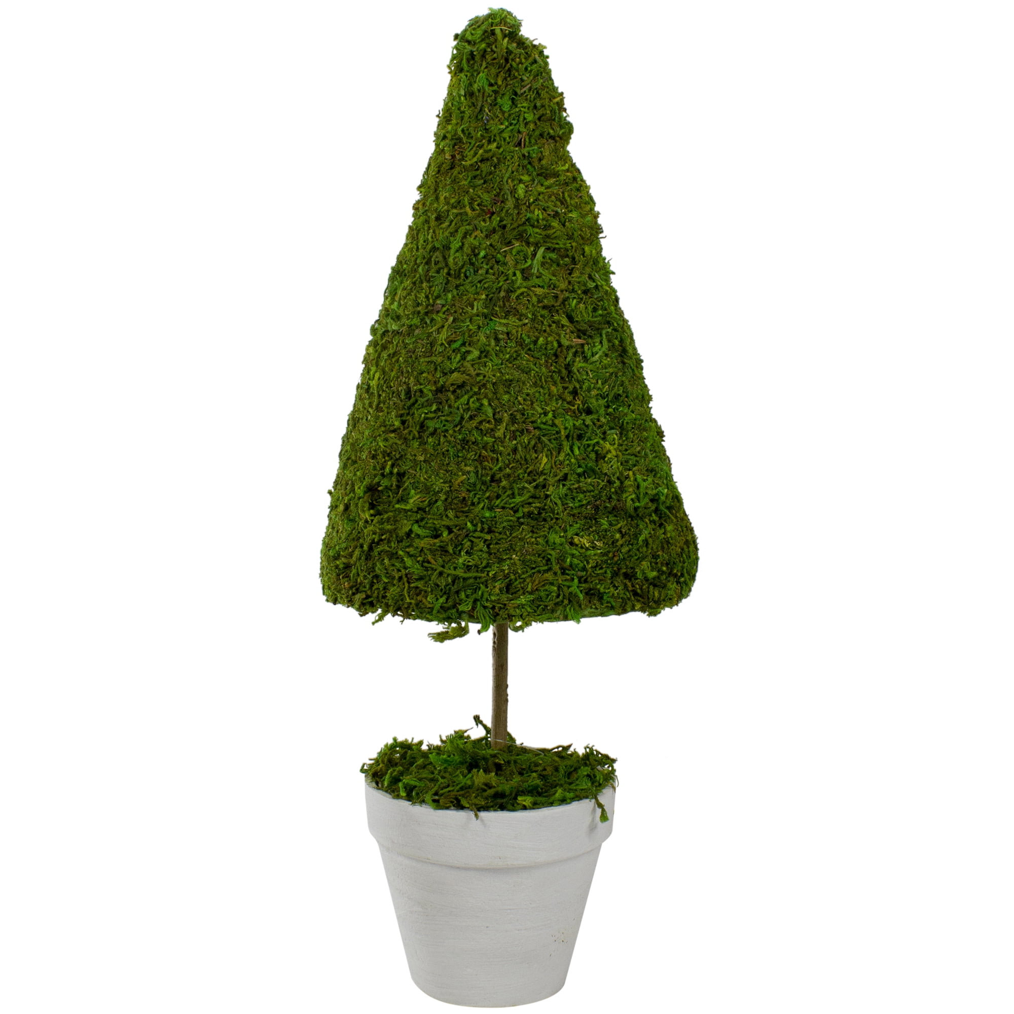 20.5" Green Reindeer Moss Potted Artificial Spring Floral Topiary Tree