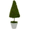 thumbnail image 1 of 20.5" Green Reindeer Moss Potted Artificial Spring Floral Topiary Tree, 1 of 4