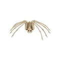 thumbnail image 1 of 20.5 Inch Skeleton Spider, 1 of 4