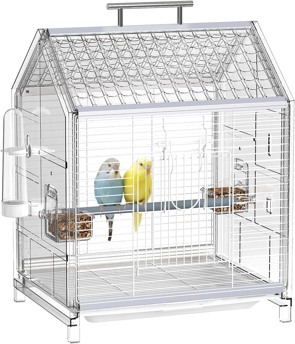 View of What is the best way to set up a bird cage? - Birdful