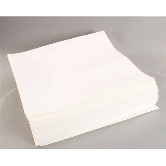 20.5 x 18.5 in. Center Hole Filter Envelope