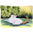 thumbnail image 1 of 20.5 x 30 in. Cat Moisture Wicking Fabric Standard Pillowcase, 1 of 1
