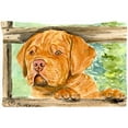 thumbnail image 1 of 20.5 x 30 in. Dogue De Bordeaux Moisture Wicking Fabric Standard Pillowcase, 1 of 1