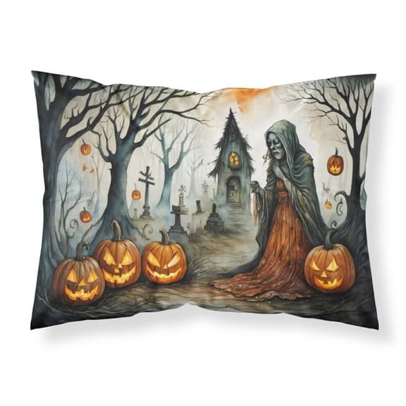 20.5 x 30 in. Unisex The Weeping Woman Spooky Halloween Fabric Standard Pillowcase