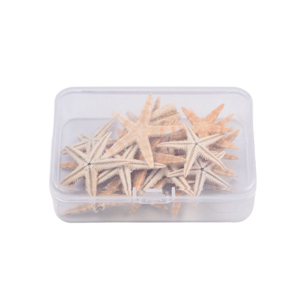 20/50/100PCS Sea Shells Mini Starfish Craft Decoration Natural Sea Stars DIY Beach Cottage Wedding Decor Crafts Wedding 20pcs(3-5cm) Smile Home
