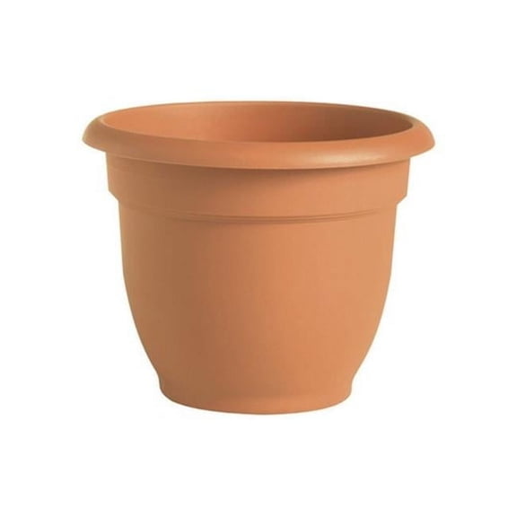 20-56106 6 in. Clay Ariana Planter