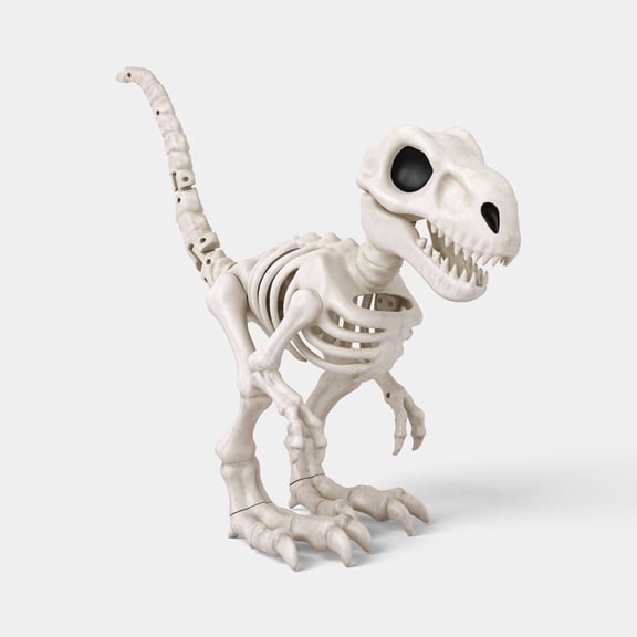 20.75" Large T-Rex Skeleton Decorative Prop - Hyde and EEK! Boutique: Halloween