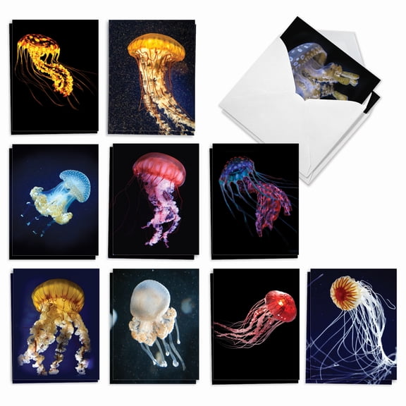 20 All Occasion Blank Cards Assorted (10 Designs, 2 Each) - Glowing Jellies All Occasion (4" x 5.12") AM7181OCB-B2x10