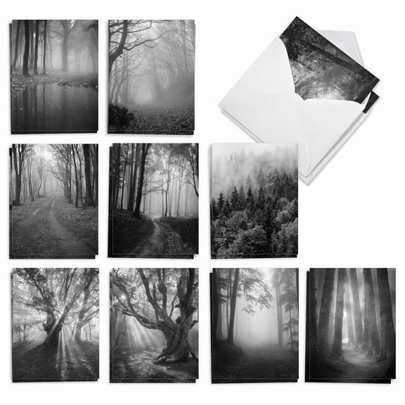 20 All Occasion Blank Cards Assorted (10 Designs, 2 Each) - Misty Woods All Occasion (4" x 5.12") AM7167OCB-B2x10