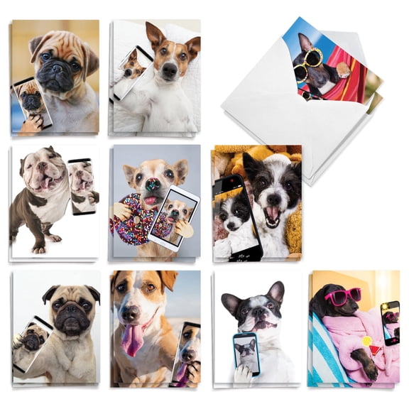 The Best Card Company 20 Assorted Funny Blank Notes Pack Set 4x5.12 w/ Envelopes, 10x2 Designs, For Men, Women, Doggy Selfie AM9512OCB-B2x10