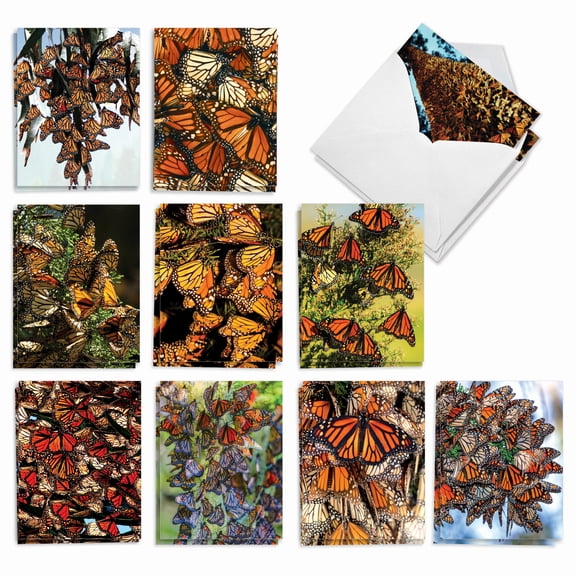 The Best Card Company 20 Assorted Blank All Occasions Notes Set 4x5.12 w/ Envelopes, 10x2 Designs, For Men, Women, The Monarchs AM9538OCB-B2x10