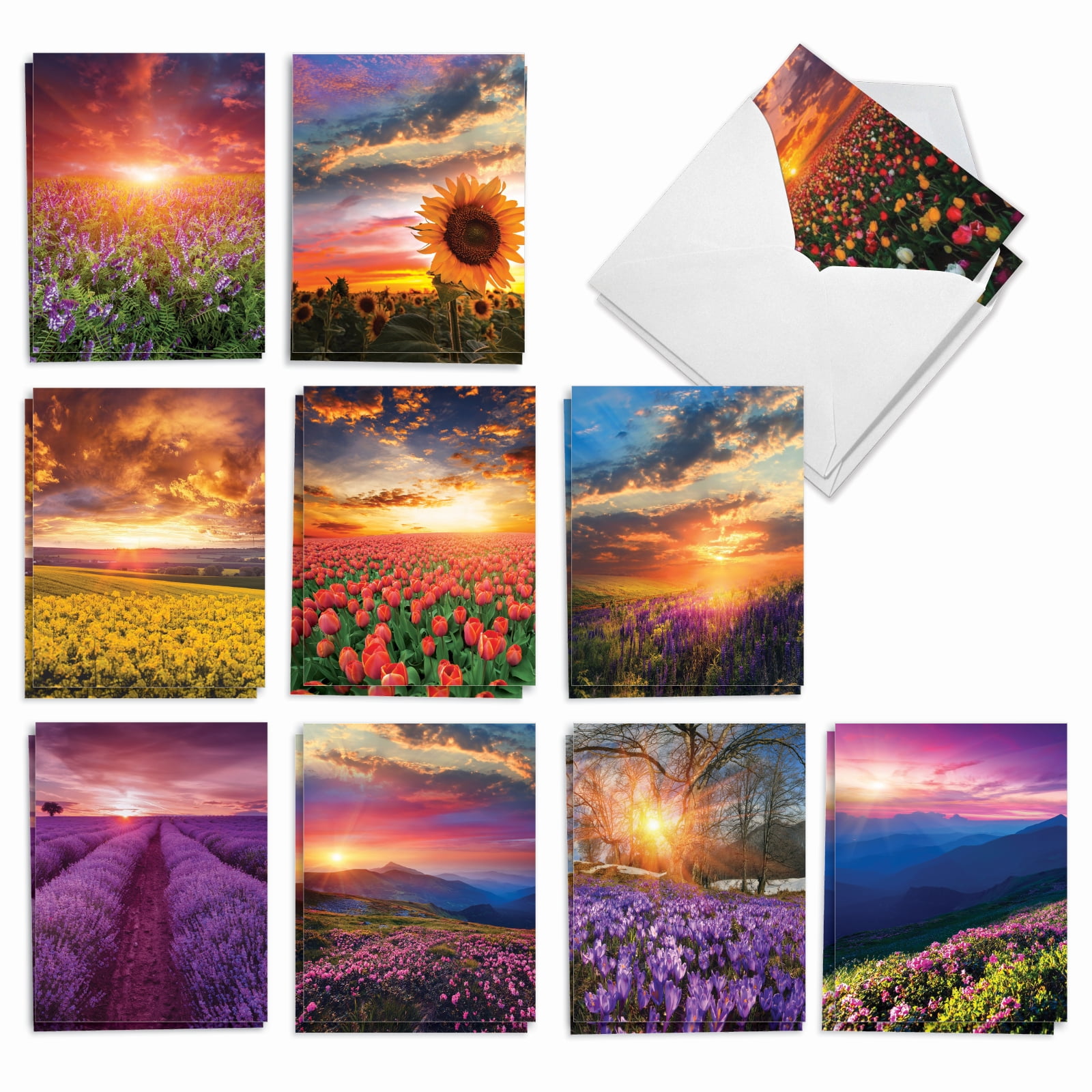 20 All Occasion Blank Note Cards Pack (10 Designs, 2 Each) - Blooming ...