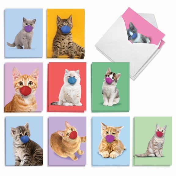 The Best Card Company 20 Assorted Blank All Occasions Notes Pack Set 4x5.12 w/ Envelopes, 10x2 Designs, For Men, Women, Masked Cats AM9261OCB-B2x10