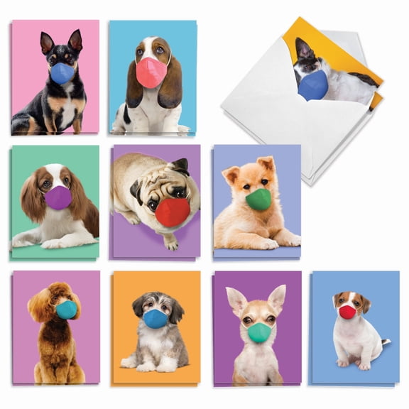 The Best Card Company 20 Assorted Blank Cats All Occasions Notes Bulk Pack Set 4x5.12 w/ Envelopes, 10x2 Designs, For Men, Women, Masked Dogs AM9260OCB-B2x10