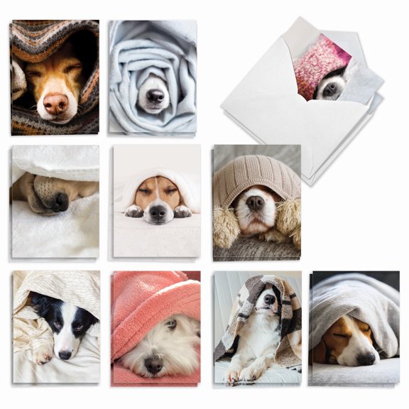 20 All Occasion Blank Note Cards Pack (10 Designs, 2 Each) - Pups In A Blanket All Occasions (4" x 5.12") AM9265OCB-B2x10