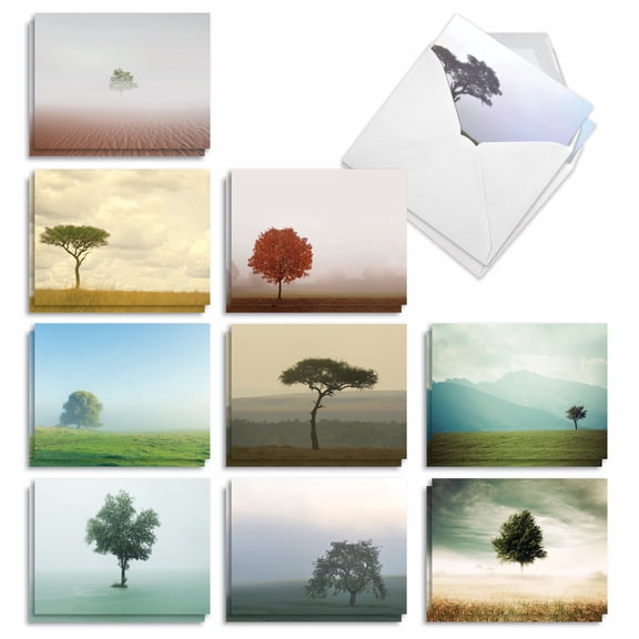 The Best Card Company 20 Assorted Blank Notes Bulk Pack Set 4x5.12 w/ Envelopes, 10x2 Designs, For Men, Women, Timeless Trees AM9524OCB-B2x10