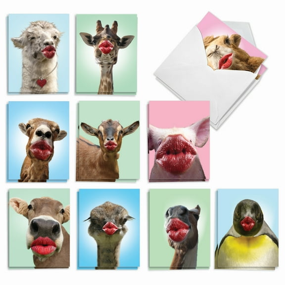 20 All Occasion Blank Note Cards Pack (10 Designs, 2 Each) - Wild Kisses All Occasions (4" x 5.12") AM9280OCB-B2x10