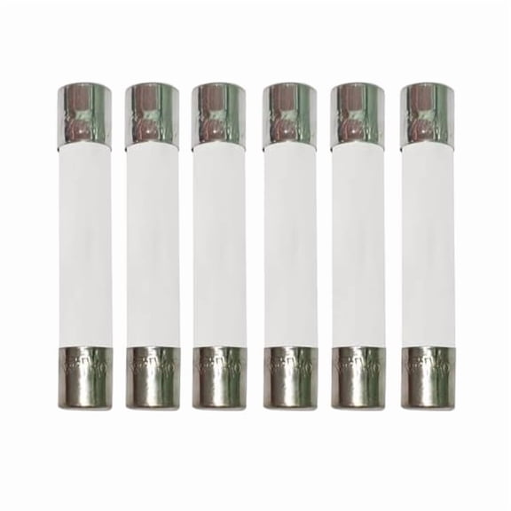 20 Amp Microwave Fuse 20A 250V Ceramic Slow-Blow 6x30mm [6-Pack] - Universal Replacement for GE WB27X10388 Kenmore Digital Countertop Microwave Ovens - Multi-Functional High-Efficiency