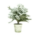 thumbnail image 1 of Northlight 20" Unlit Artificial Flocked Pine Tree in Pot, 1 of 3
