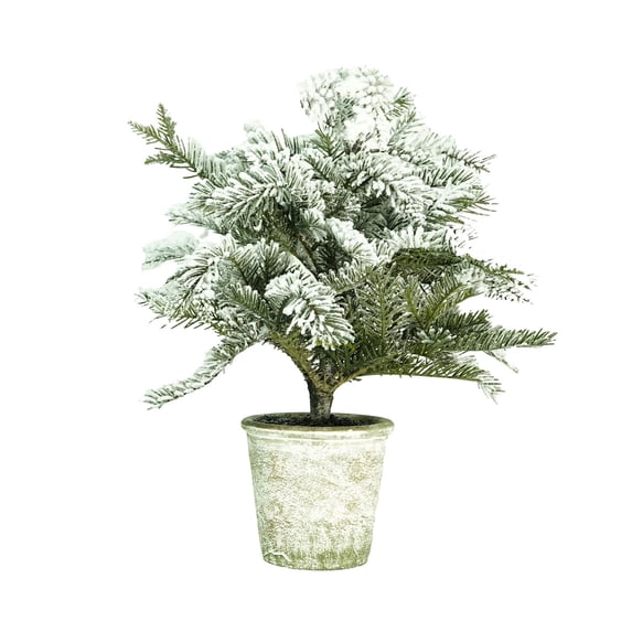 Northlight 20" Unlit Artificial Flocked Pine Tree in Pot