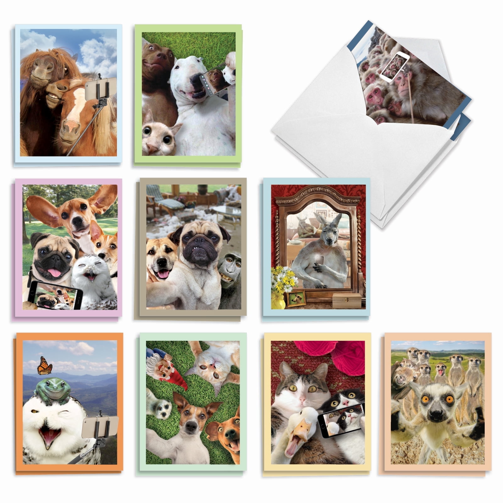 20 Assorted Blank Notecards Bulk Set 4 x 5.12 Inch with Envelopes (10 ...