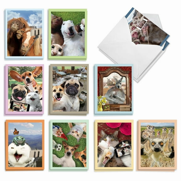20 Assorted Blank Notecards Bulk Set 4 x 5.12 Inch with Envelopes (10 Designs, 2 Each) Animal Selfies - Cellphone Snaps of Various Animals