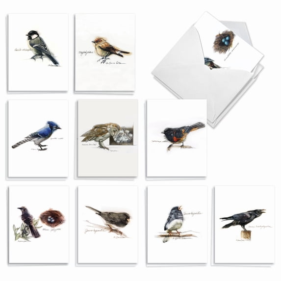 20 Assorted Blank Notecards Set 4 x 5.12 Inch with Envelopes (10 Designs, 2 Each) Birds Watching - Artful Portrayals of Various Birds