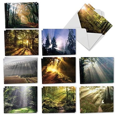 ON SALE: Assorted Blank Greeting Cards W/ Envelopes Set Of 5