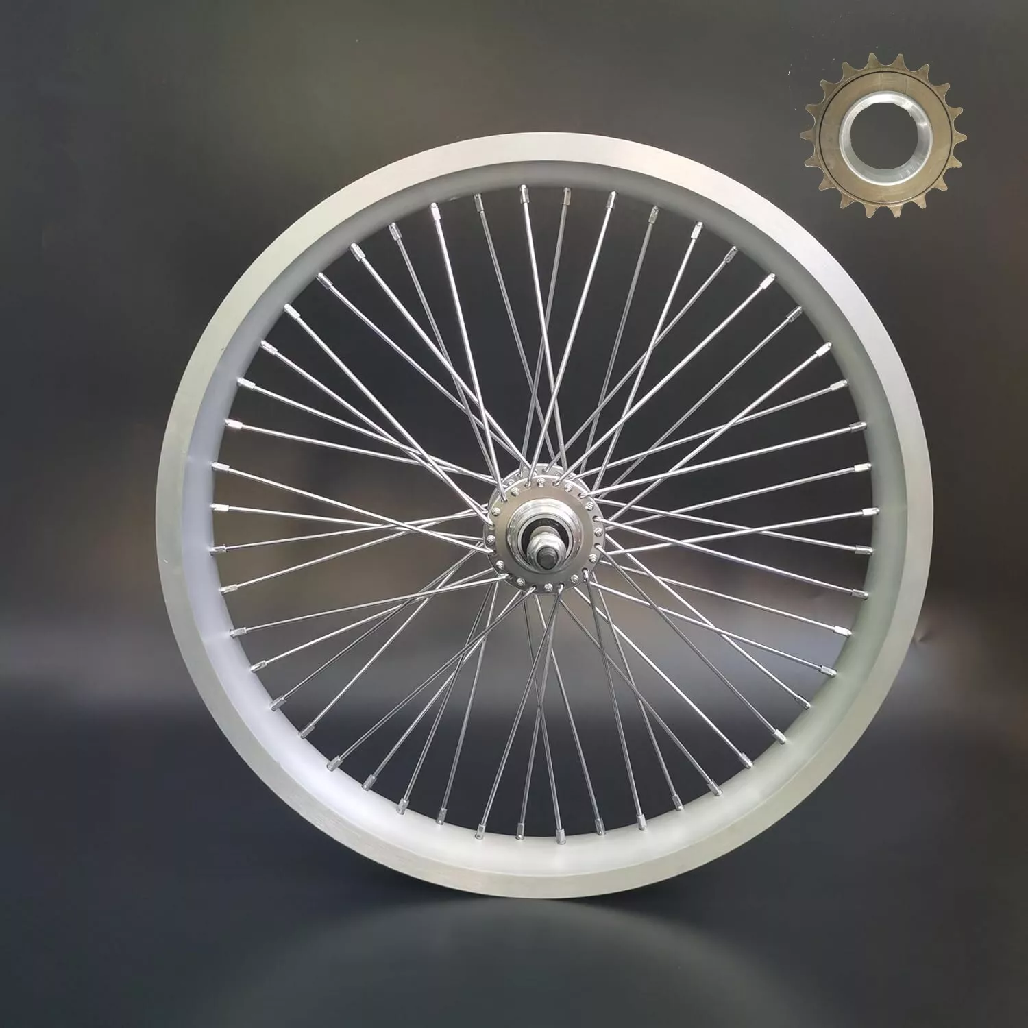 20 Rim Bicycle
