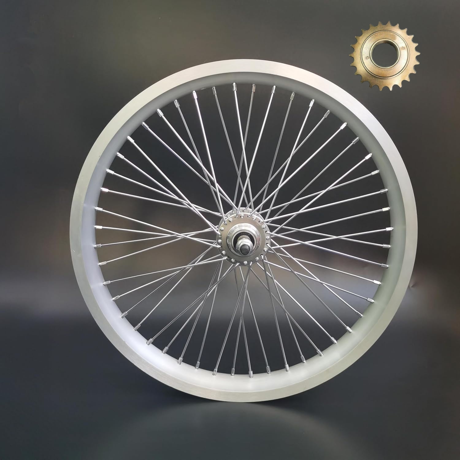 Bycycle Back Rim 20