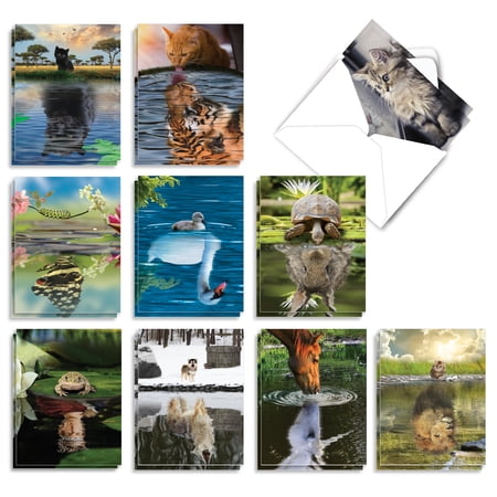 20 Blank All Occasion Cards Assorted (10 Designs, 2 Each) - Aspirations All Occasion (4" x 5.12") AM7076OCB-B2x10