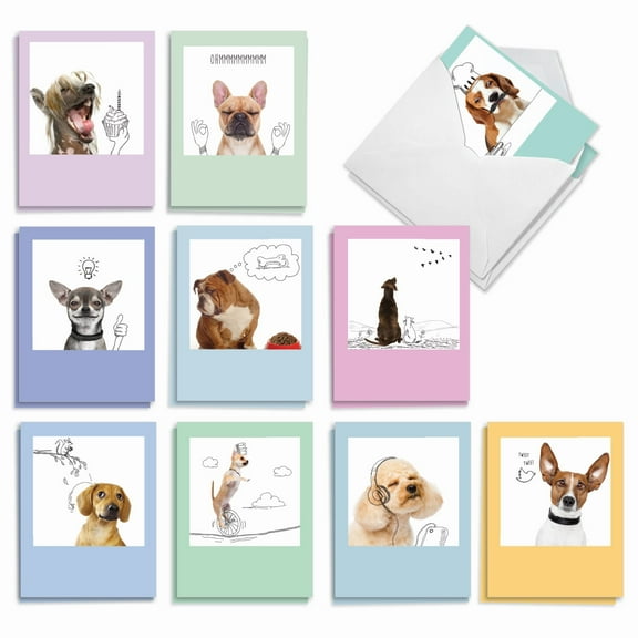 20 Blank All Occasion Cards Assorted (10 Designs, 2 Each) - Dogs & Doodles All Occasion (4" x 5.12") AM6582OCB-B2x10