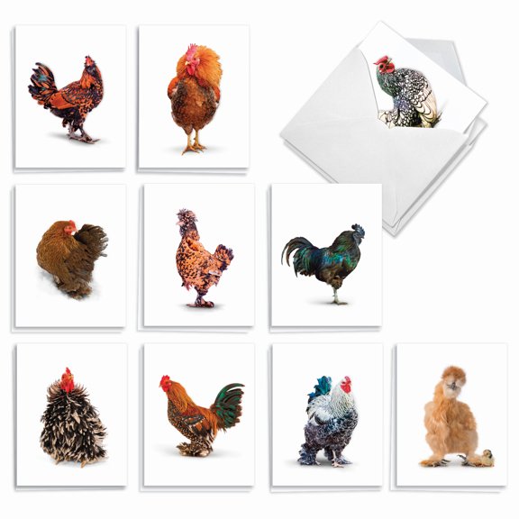 20 Blank All Occasion Cards Assorted (10 Designs, 2 Each) - Exotic Cocks All Occasion (4" x 5.12") AM7059OCB-B2x10