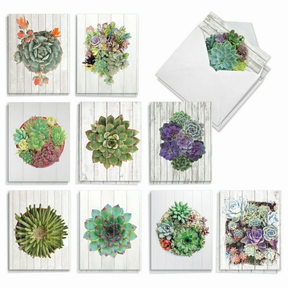 20 Blank All Occasion Cards Assorted (10 Designs, 2 Each) - Shiplap Succulents All Occasion (4" x 5.12") AM6438OCB-B2x10