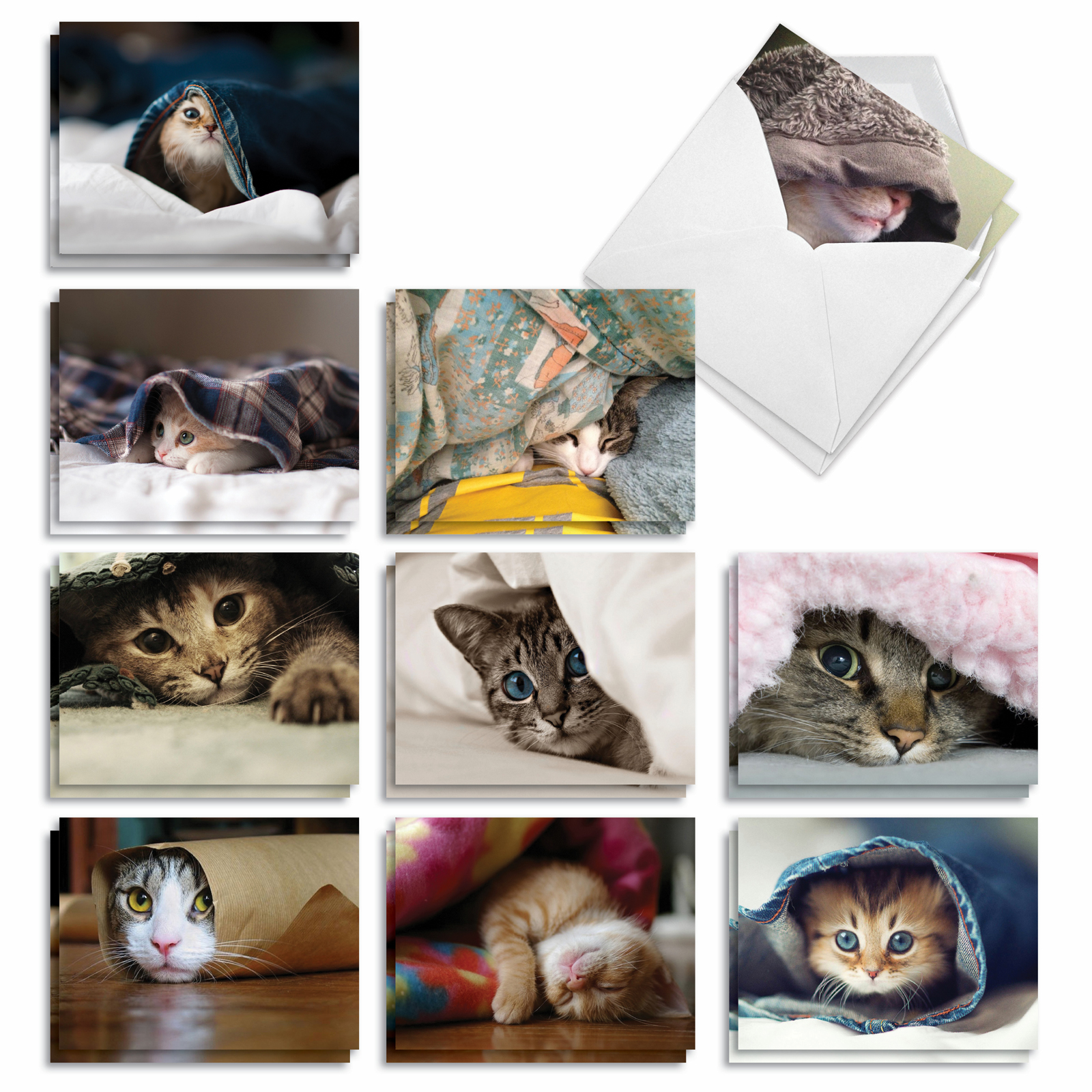 20 Blank All Occasion Note Cards with Envelopes (4" x 5.12") - Cat You ...