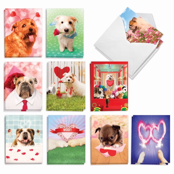 The Best Card Company 20 Assorted Funny Blank Notes Pack Set 4x5.12 w/ Envelopes, 10x2 Designs, For Men, Women, Loving Puppies AM3188OCB-B2x10