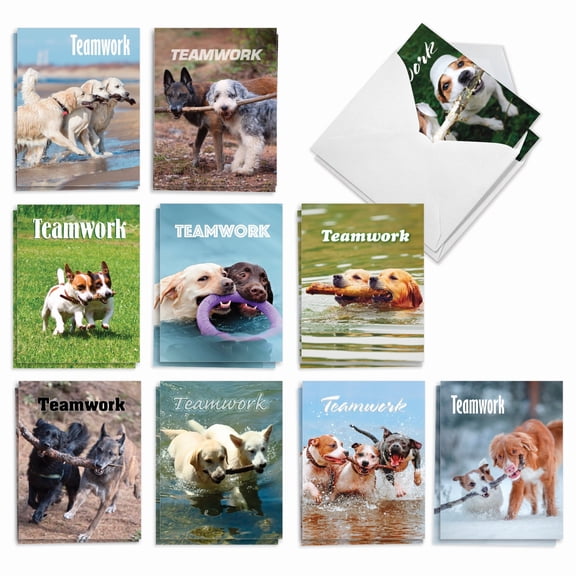 The Best Card Company 20 Assorted Blank All Occasions Notes Pack Set 4x5.12 w/ Envelopes, 10x2 Designs, For Men, Women, Teamwork AM3189OCB-B2x10
