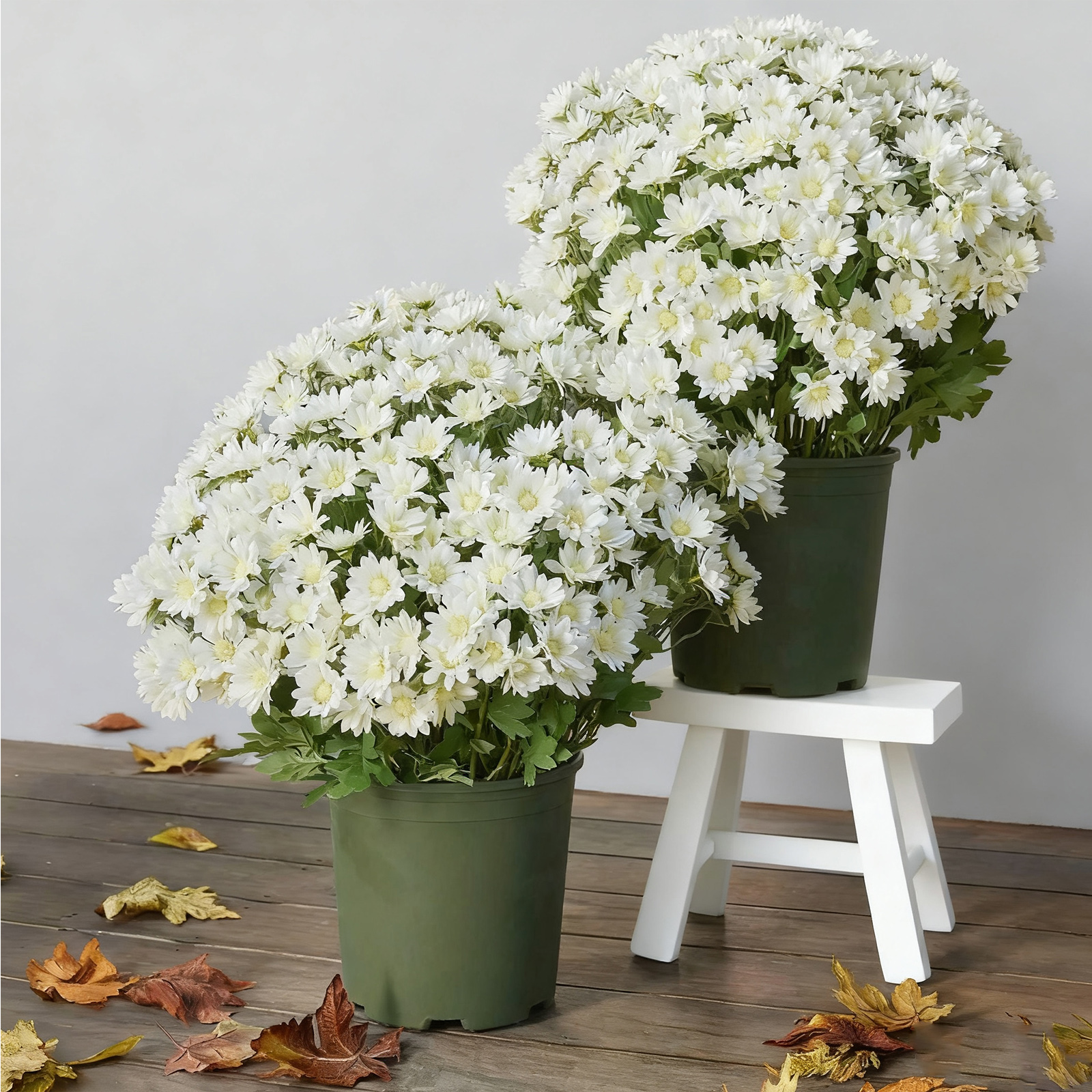 20 Bundles Artificial Mums - Artificial Outdoor Sunset Flowers, UV Resistant, Waterproof, Windproof, Look Real for Front Door Porch Patio Yard Balcony