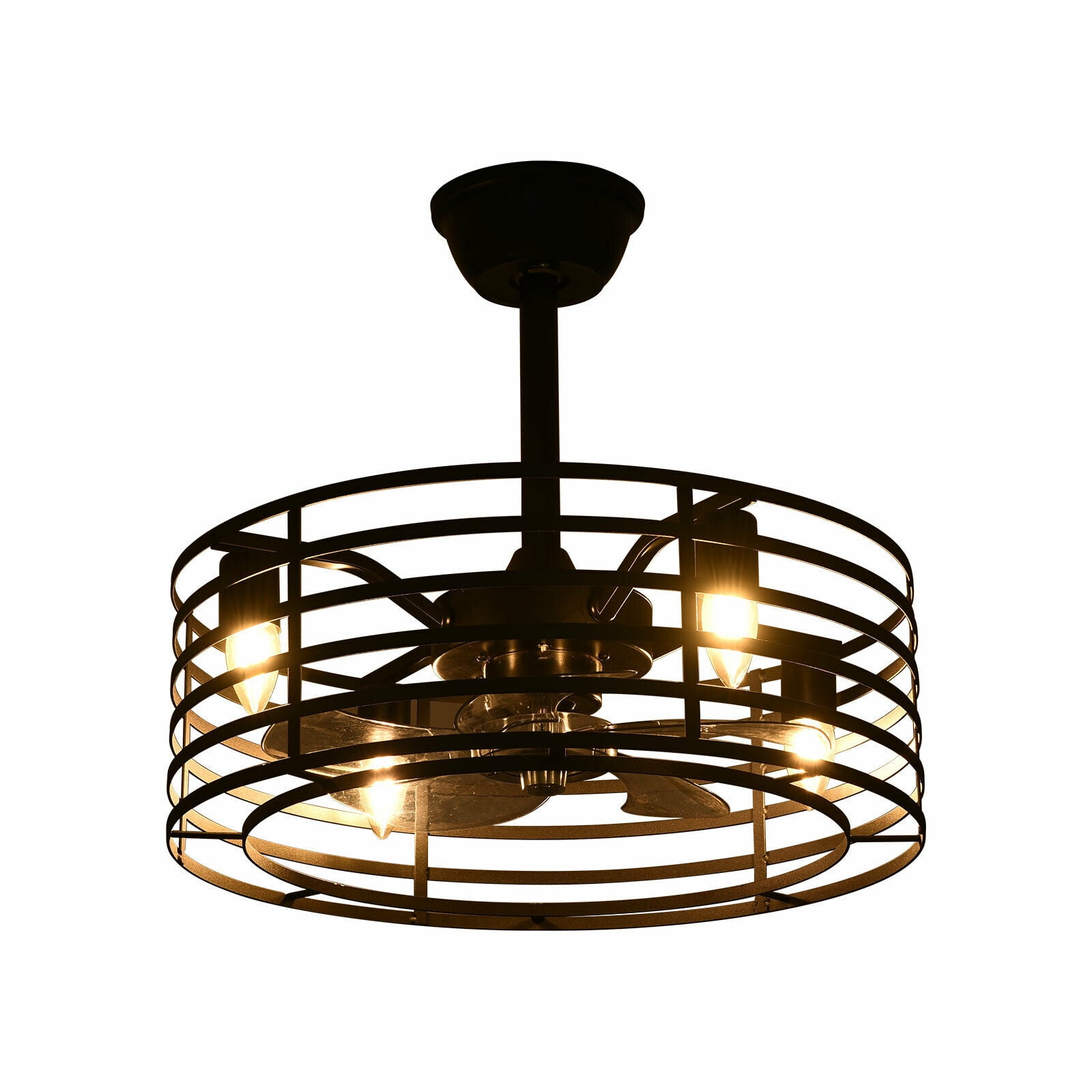 20'' Black Industrial Caged Ceiling Fan with Lights and Remote