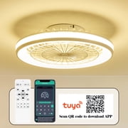 20" Caged Ceiling Fans Lights,Low Profile Enclosed Lamp with APP Control,White