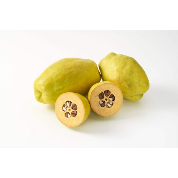 20 Chinese QUINCE FRUIT TREE Chaenomeles Sinensis Fruit Flower Seeds Thornless