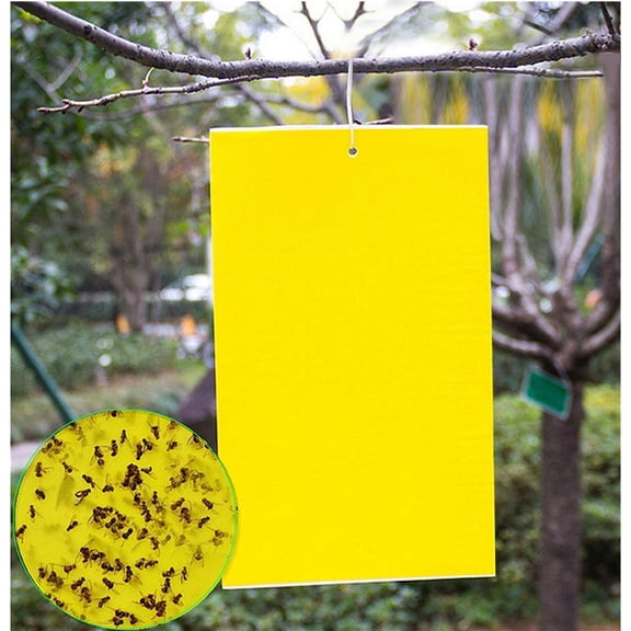 20 Count Dual Yellow Sticky Traps 8 X 6 Inch Set for Flying Plant Insect Like Fungus Gnats, Aphids, Whiteflies, Leafminers -Included 20pcs Twist Ties