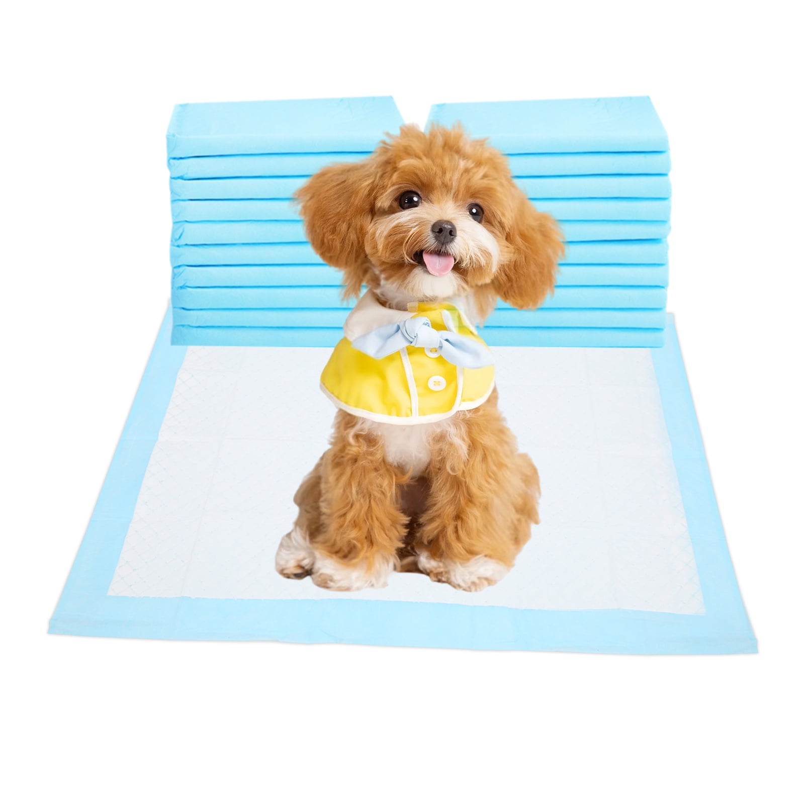 20 Count Puppy Pee Pads 13x17inch, Disposable Dog Training Pads