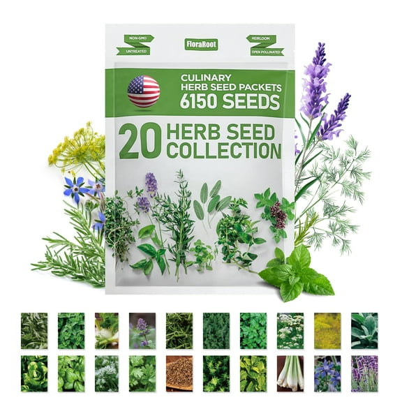 20 Culinary Herb Seeds Variety Pack MVR1(6150+ Non-GMO) - USA-Sourced, High-Germination, Heirloom Collection, Indoor/Outdoor Planting, Mother's Day Gift & Survival Garden Essential
