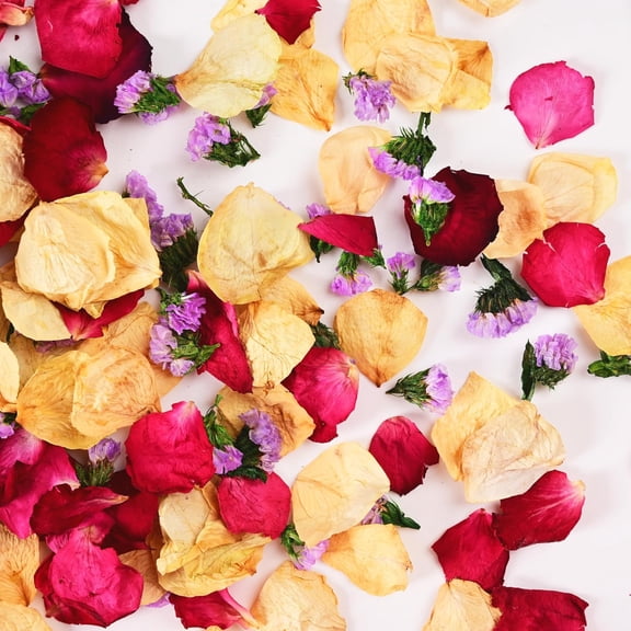 20+ Cups Real Dried Rose Petals Biodegradable Wedding Flower Confetti, 2 QT Mixed Yellow Red Roses &Purple Statice for Girl Bridal Proposal Bath